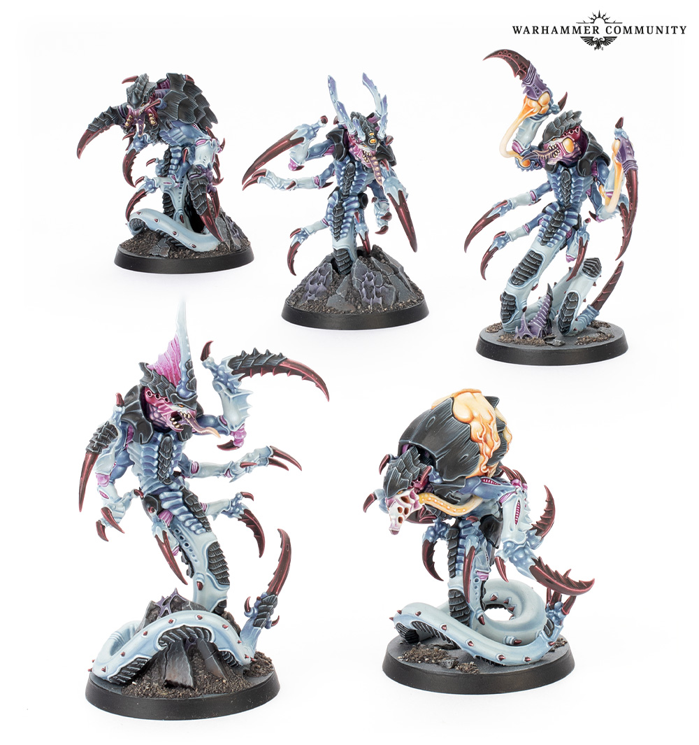 Warhammer 40K Kill Team Box Typhon DEUTSCH