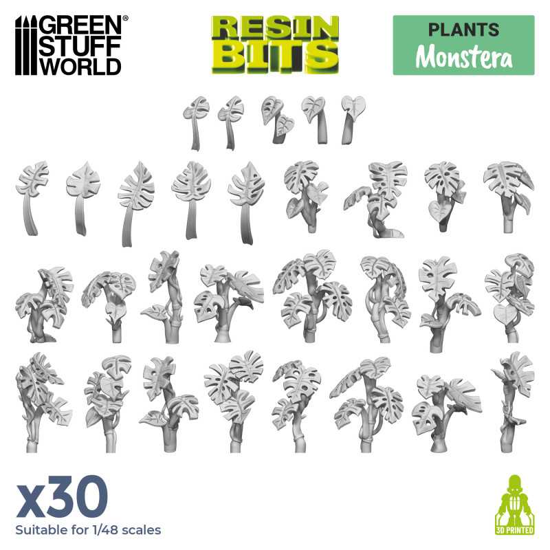 GreenStuffWorld Monstera Pflanzen