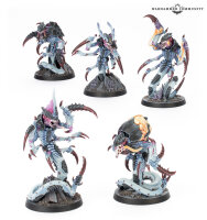 Warhammer 40K Kill Team Box Typhon ENGLISCH
